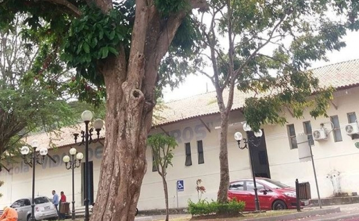 Foto