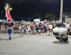 Foto